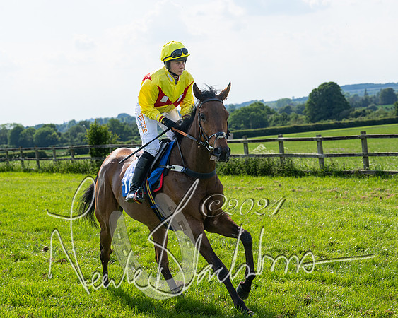Race 5  - Maiden race 2m5F Div-1 (72 of 197)