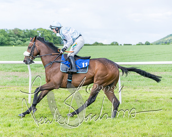 Race 5 - Restricted Race (142 of 434)