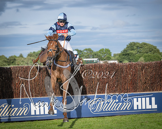 Race 3 - The pointtopoint.co.uk champion novices’ Hunter Chase (120 of 140)