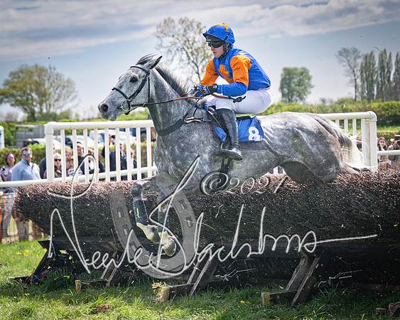 Race 2 - The Elliott of London maiden race (83 of 137)