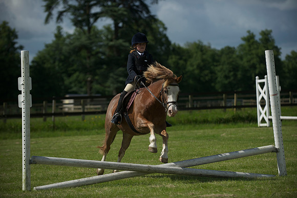 SOHS PC Summer Show at BCA 17th June 2012