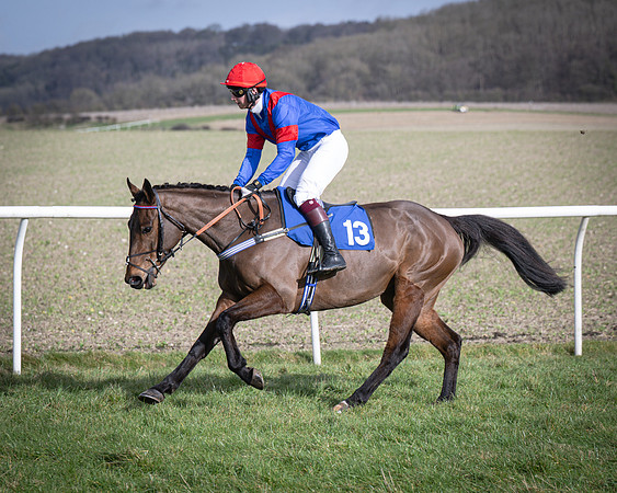 Race 3 - The Maiden Conditions (45 of 214)