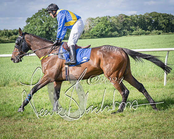 Race 6 - Thorn Plant Hire Maiden Race (28 of 129)