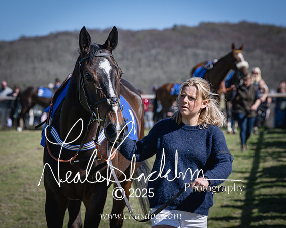 Race 2 - The Maiden (7 of 118)