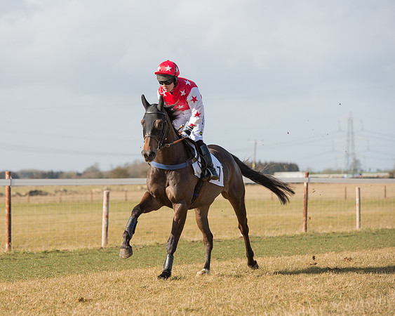 Race 1 - 4-5-6 Maiden (51 of 119).jpg