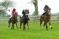 Ponies - 3
