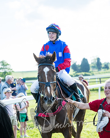 Race 7 - Veteran Horse (198 of 246)