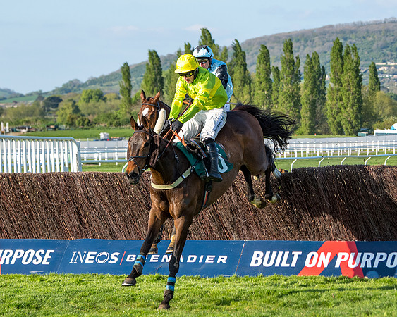 Race 3 - KTDA Hunters' Steeple Chase  (150 of 226)