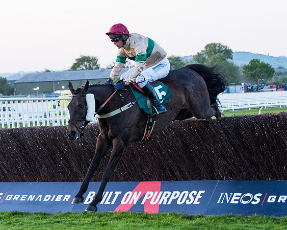 Race 7 - Glos Hussars  (164 of 245)