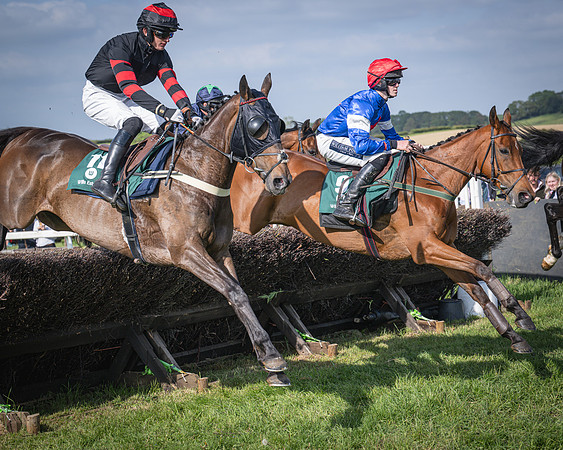 Race 6 - 2m5f Conditions (39 of 70)
