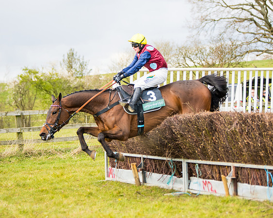 Race 5 - Restricted  (54 of 118)