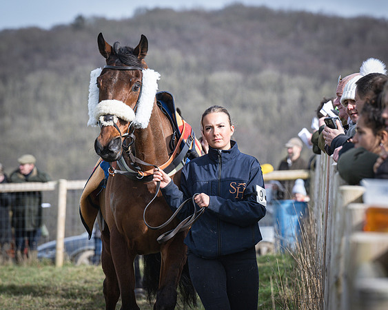 Race 3 - The Maiden Conditions (18 of 214)