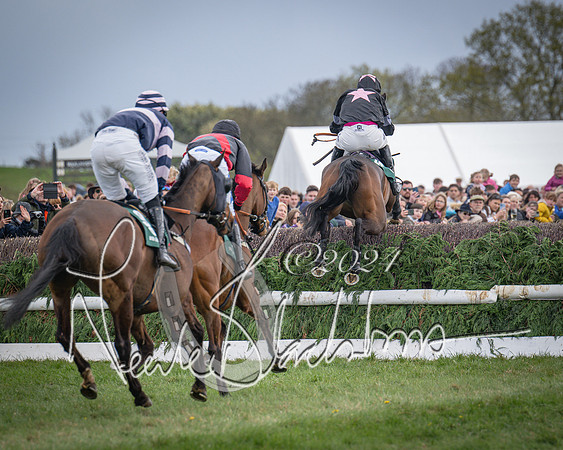 Race 3 - 5 years old and Over Maiden Race (53 of 130)