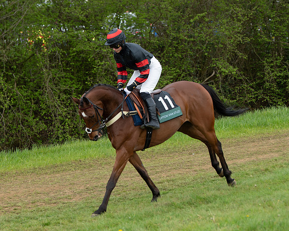 Race 2 - Jockey Club ROR veteran Horse (6 of 104)