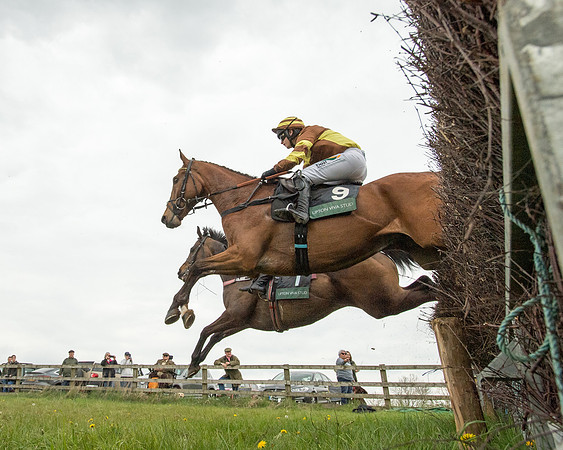 Race 2 - Jockey Club ROR veteran Horse (39 of 104)