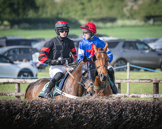 Race 6 - 2m5f Conditions (31 of 70)