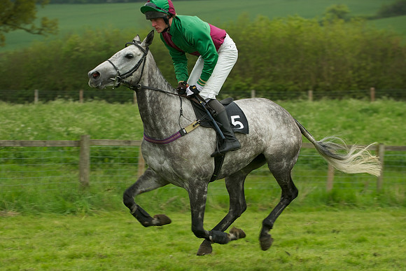Race 6 - Maiden 8
