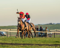 Race 6 - 2m4F Maiden