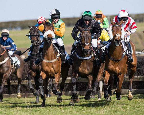 Race 1 - Open Maiden Div 1 (58 of 88).jpg