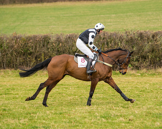 Race 3 - Restricted  (30 of 100)