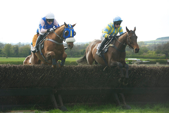 Southern Grand National  20