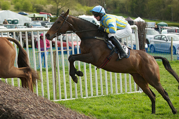 Southern Grand National  25