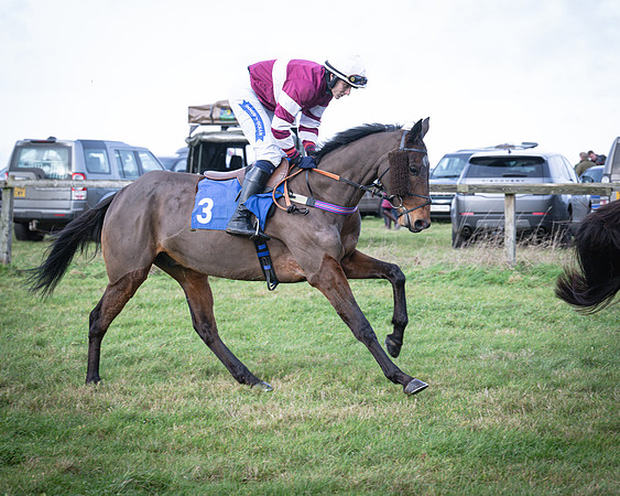 Race 2 - Maiden (32 of 145)