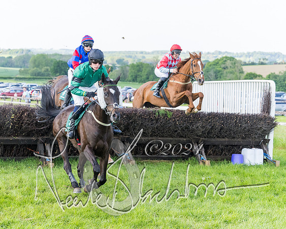 Race 7 - Veteran Horse (35 of 246)