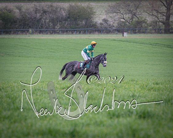 Race 7 - The Jockey Club maiden race for Mares and Fillies only (30 of 96)