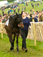 Old Berks at Lockinge Open Maiden