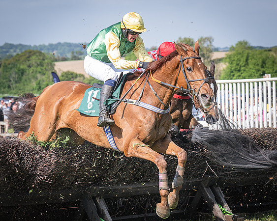 Race 5 - Restricted (66 of 116)
