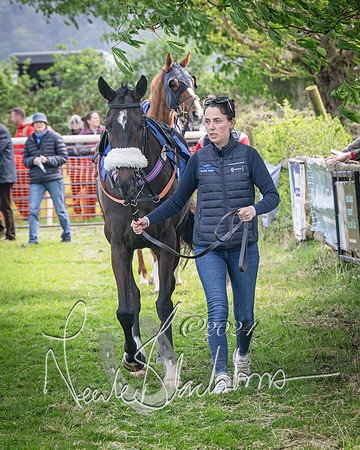 Race 2 - The Elliott of London maiden race (17 of 137)