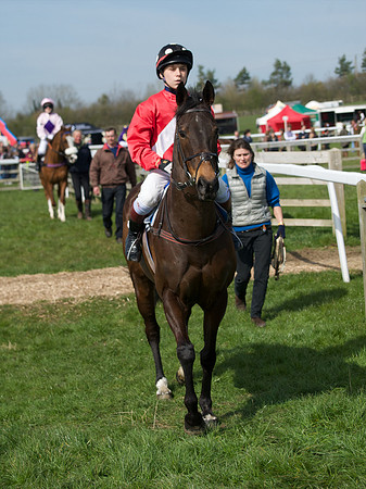Pony Race 3 -  1