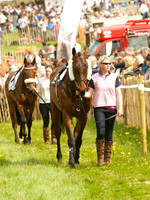 Old Berks at Lockinge Confined Hunts Race
