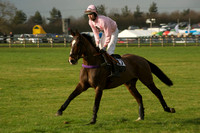 Race 6 - 8