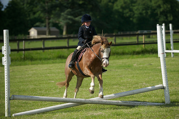 SOHS PC Summer Show at BCA 17th June 2012
