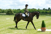 Jackson Dressage 24