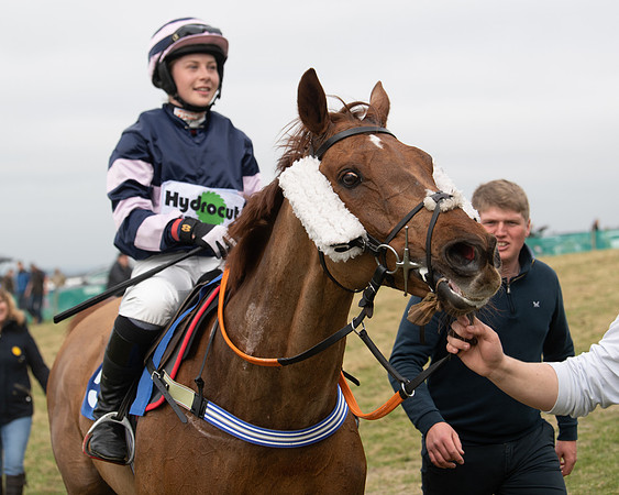 Race 2 - Veteran Horse (133 of 153)