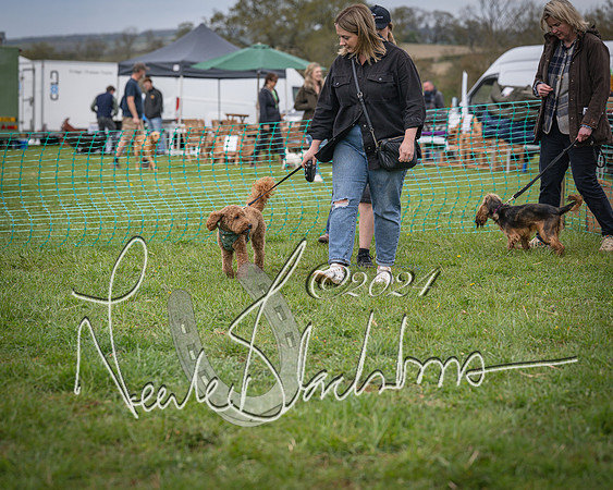 Bicester - Dog Show (89 of 106)