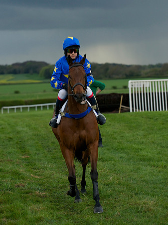 Pony Race 2 -  3