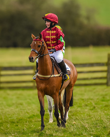 Pony Race 2 (16 of 162)