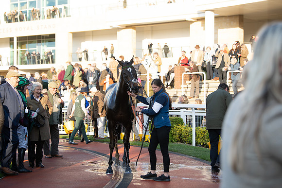 Race 5 - ITM Mares'  (118 of 181)