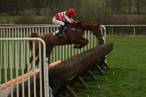 Race 5 - 61