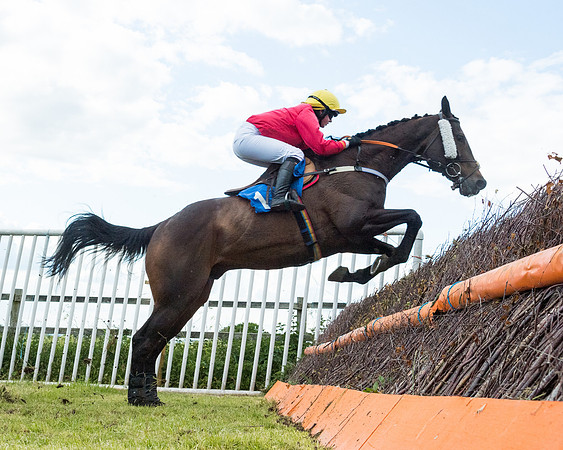 Race 5 - Restricted  (76 of 136)
