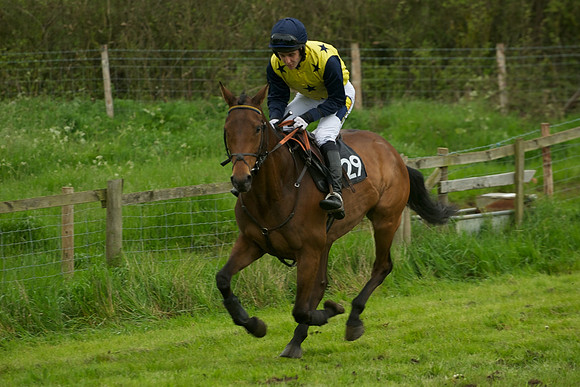 Race 6 - Maiden 16