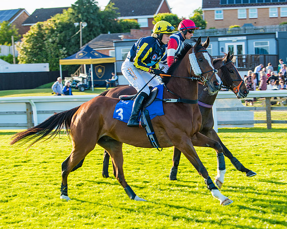 Race 5 - White Swan Hotel Handicap (5 of 80)