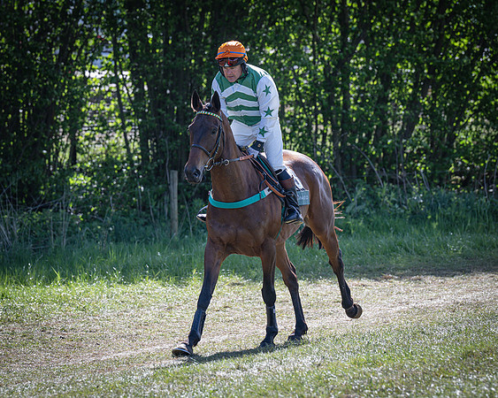 Race 5 - F N Pile and Sons PPORA Novice Riders (20 of 151)