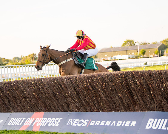 Race 5 - ITM Mares'  (50 of 181)