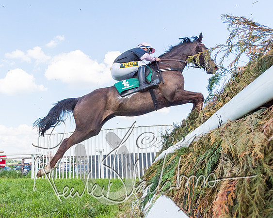 Race 7 - Veteran Horse (34 of 246)