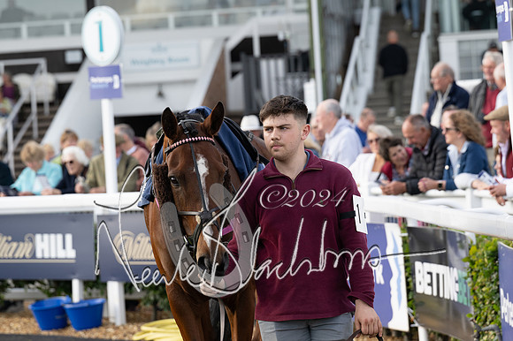 Race 3 - The pointtopoint.co.uk champion novices’ Hunter Chase (32 of 140)